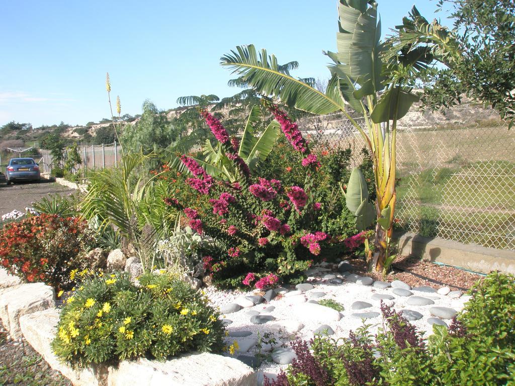 Paradise Traditional House Maroni المظهر الخارجي الصورة