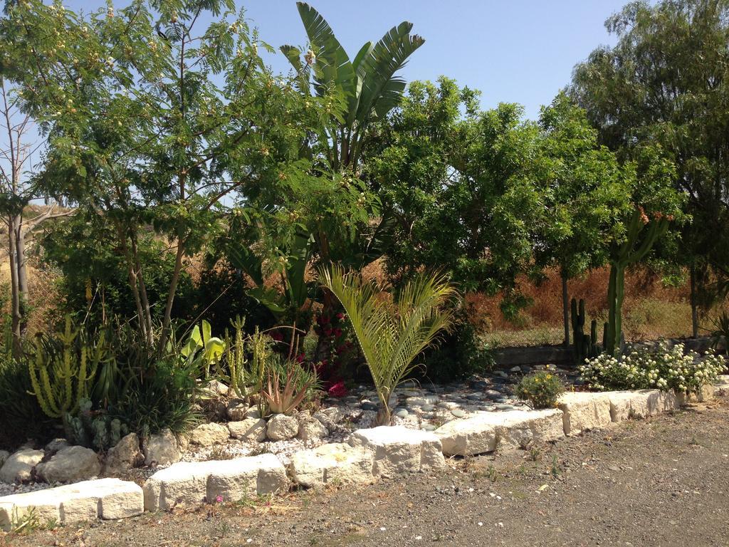 Paradise Traditional House Maroni المظهر الخارجي الصورة
