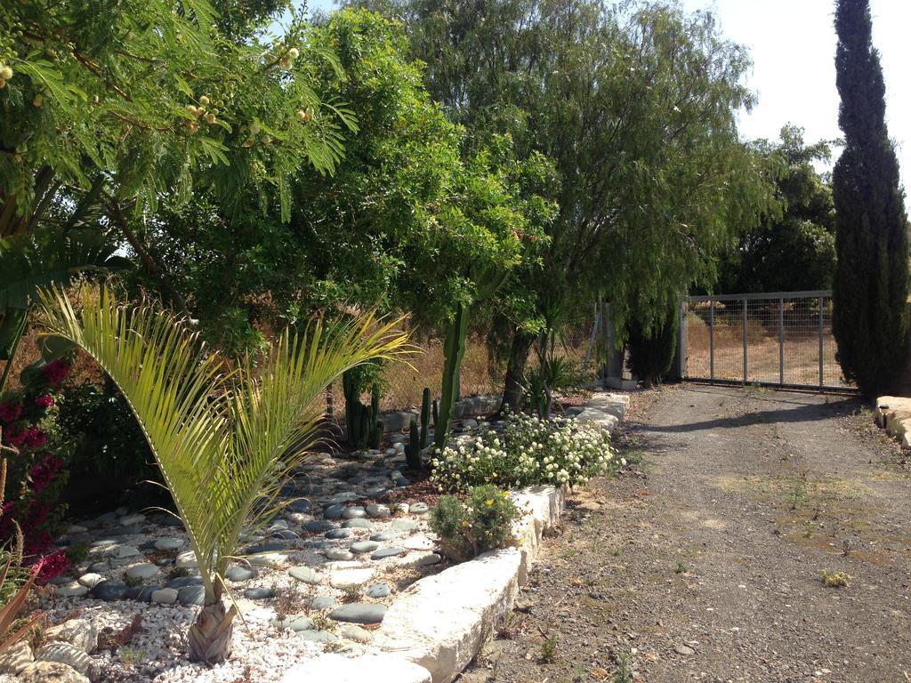 Paradise Traditional House Maroni المظهر الخارجي الصورة